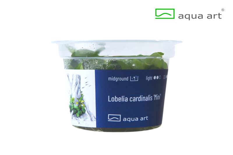Your Aquahouse