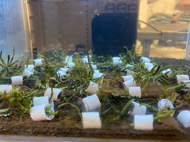 Your Aquahouse