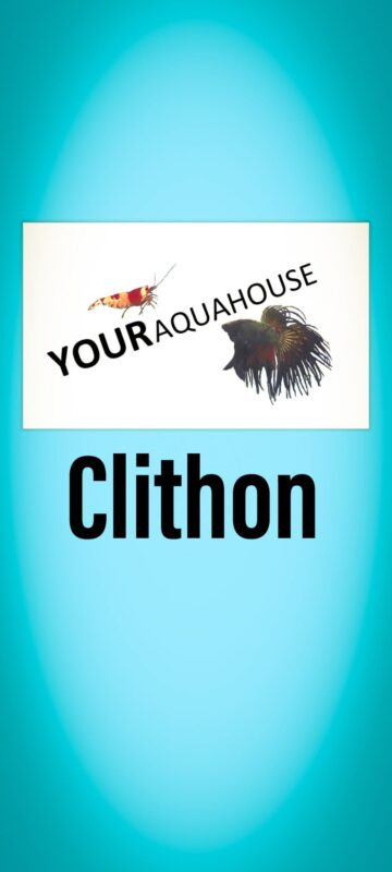 Your Aquahouse