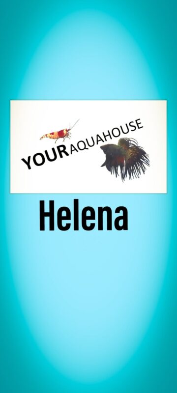 Your Aquahouse