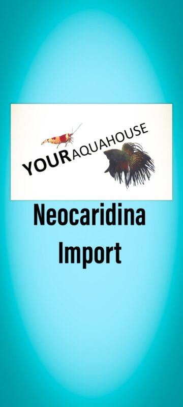 Your Aquahouse