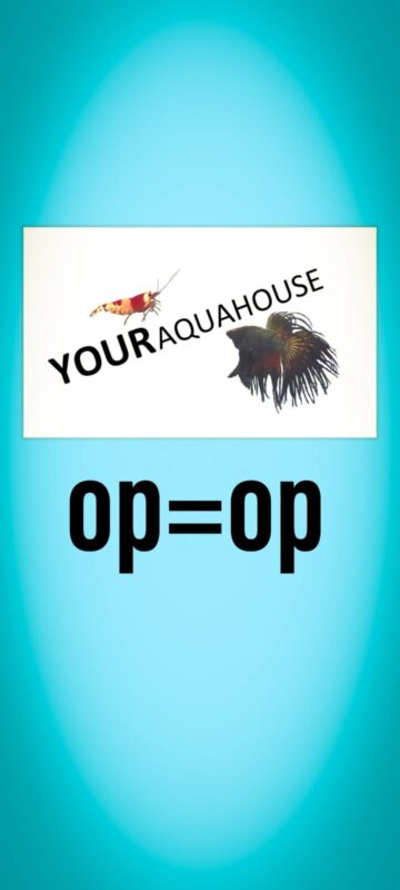 Your Aquahouse