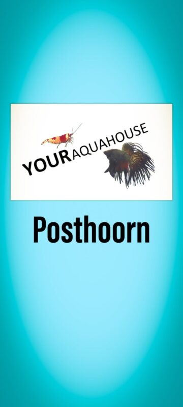 Your Aquahouse