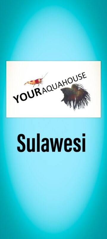 Your Aquahouse