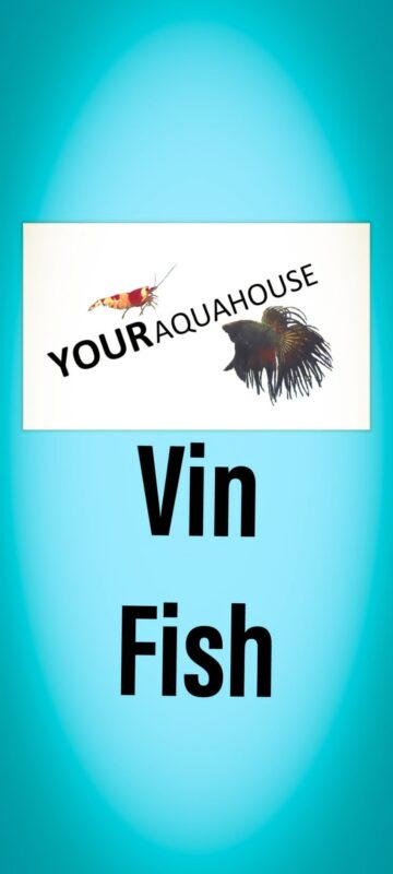 Your Aquahouse