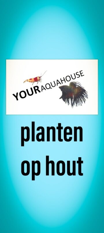 Your Aquahouse