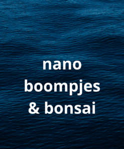 Nano boompjes & bonsai