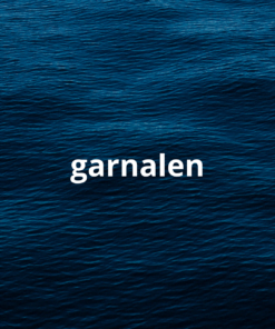 Garnalen