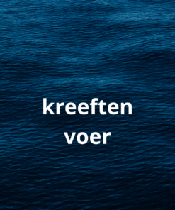 Kreeftenvoer
