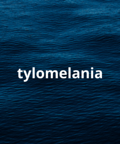 Tylomelania
