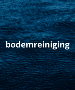 Bodemreiniging