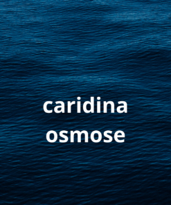 Caridina op osmose