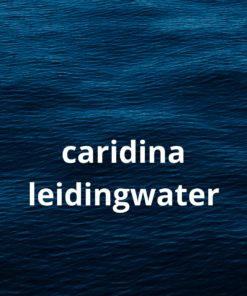 Caridina op leidingwater
