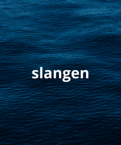 Slangen