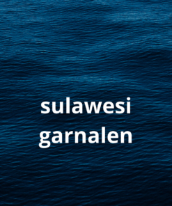 Sulawesi