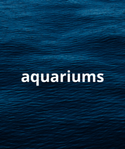Aquariums