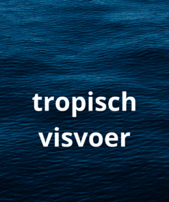 Tropisch visvoer