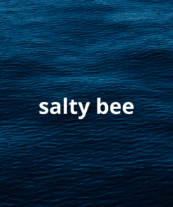 Salty bee