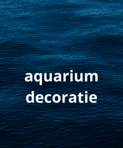 Aquarium decoratie