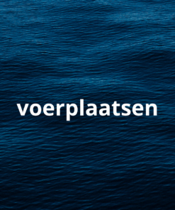 Voerplaatsen