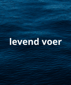 Levend voer