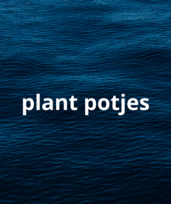 Plant potjes