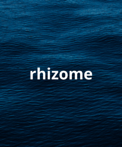 Rhizome