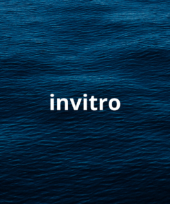 Invitro