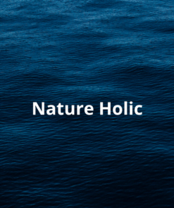 NatureHolic